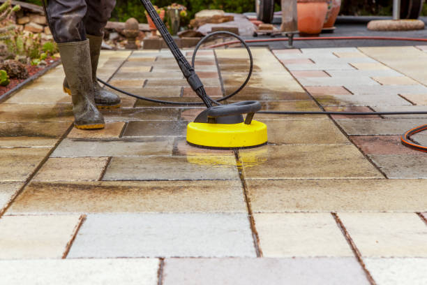 Animal Enclosure Cleaning in Spotswood, NJ